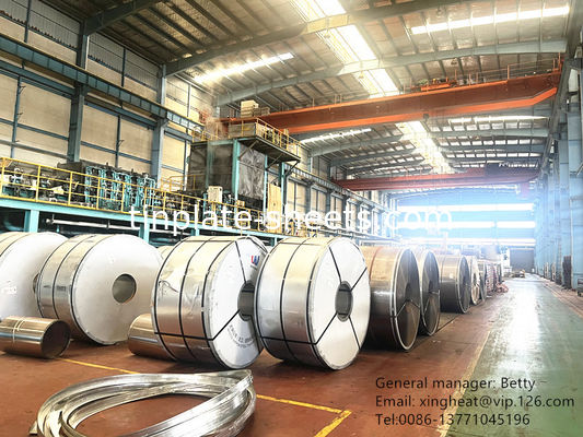 Matt Finish Tin Free Steel Strip 60-140mg/m2 Chrome kaplama ve 600mm-907mm Genişliği